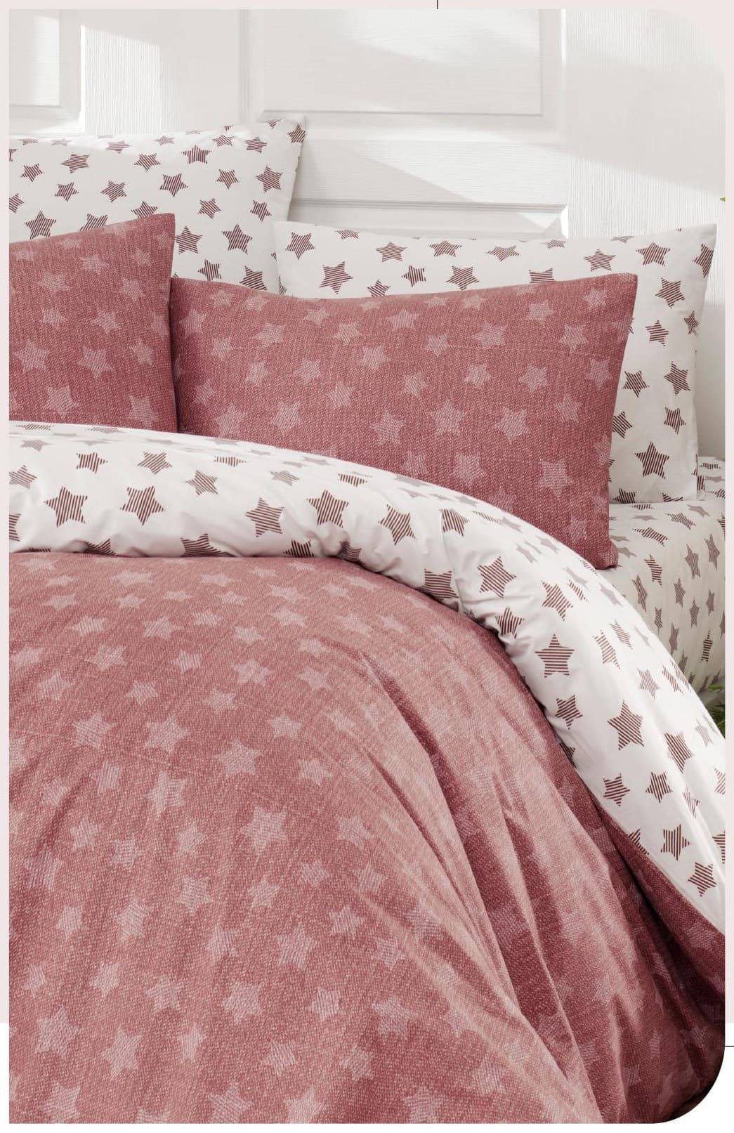 LIGHT R261 · Rose